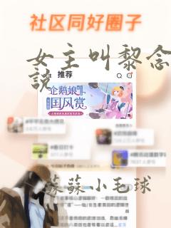 女主叫黎念的小说