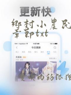 乡村小农民最新章节txt