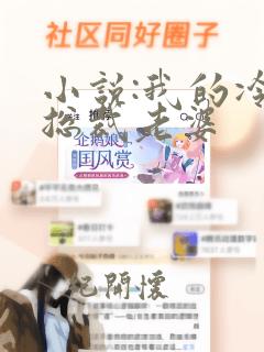 小说:我的冷艳总裁老婆