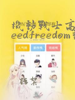 机动战士高达seedfreedom动漫高清在线