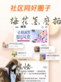 梅花怎么拍