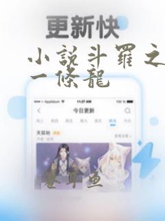 小说斗罗之开局一条龙