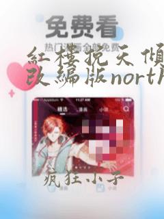 红楼挽天倾加料改编版north txt下载