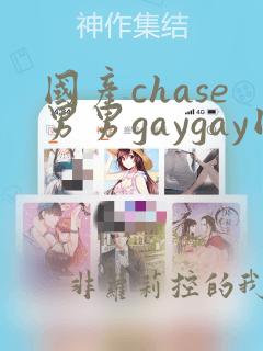 国产chase男男gaygay同性恋网站