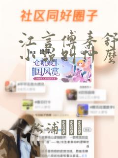 江言傅秦舒雅的小说叫什么