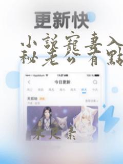 小说宠妻入骨神秘老公有点坏