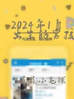 2024年1月出生的男孩取名