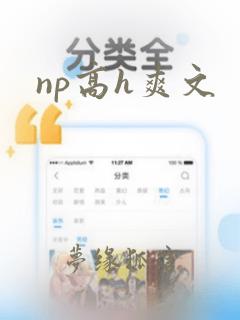 np高h爽文