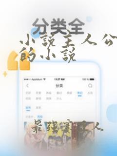 小说主人公李辰的小说