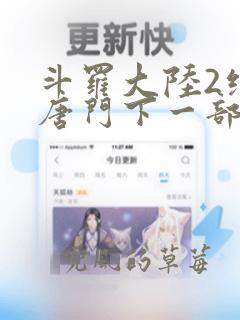 斗罗大陆2绝世唐门下一部叫什么