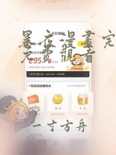 暴夜漫画完结版免费观看