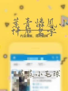 叶青怜凤小说叫什么名字