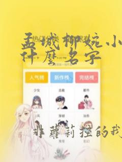 孟城柳婉小说叫什么名字