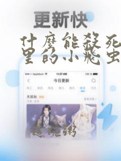 什么能杀死花盆里的小飞虫