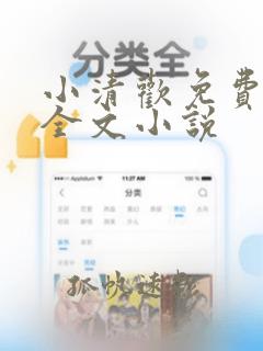 小清欢免费阅读全文小说