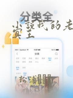 小说我的老公是冥王