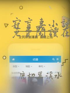 宠盲妻小说全文免费阅读在线