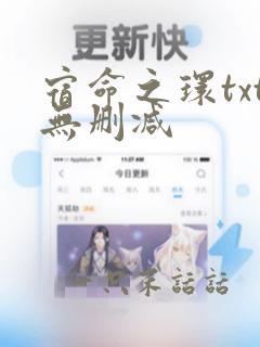 宿命之环txt无删减