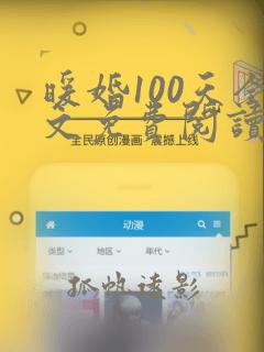 暖婚100天全文免费阅读小说