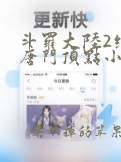 斗罗大陆2绝世唐门顶点小说