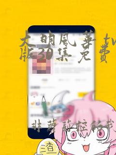 大明风华 tv版30集免费观看