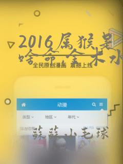 2016属猴是啥命,金木水火土哪个