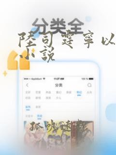 陆司霆宁以夏的小说