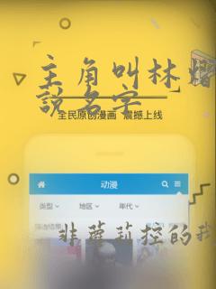 主角叫林熠的小说名字