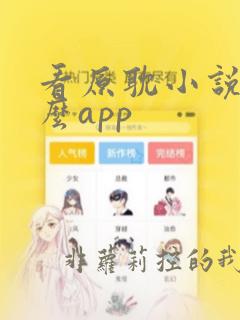 看原耽小说用什么app