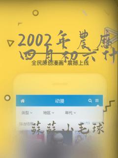 2002年农历四月初六什么命