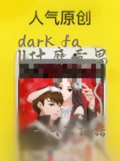 dark fall什么意思