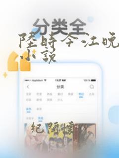 陆时今江晚吟的小说