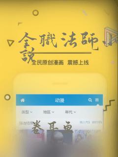 全职法师小说小说