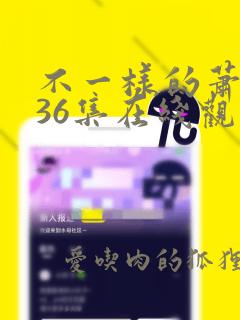 不一样的萧先生36集在线观看免费