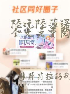 陆晚陆薄琛小说全文免费阅读