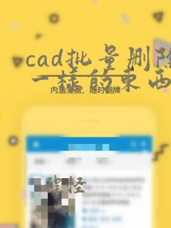 cad批量删除一样的东西