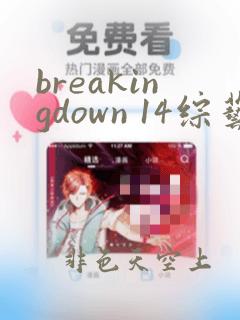 breakingdown 14综艺在线播放