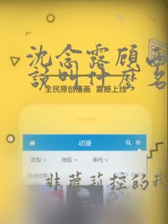 沈念露顾西洲小说叫什么名字