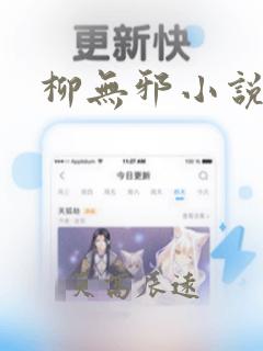 柳无邪小说主人