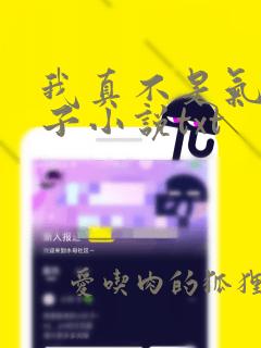 我真不是气运之子小说txt