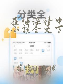 在他深情中陨落小说全文下载