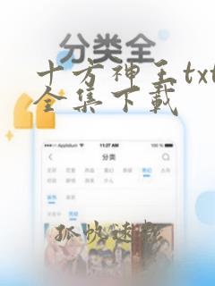 十方神王txt全集下载