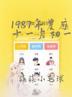 1987年农历十一月初一什么命