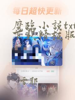 魔临小说txt下载精校版