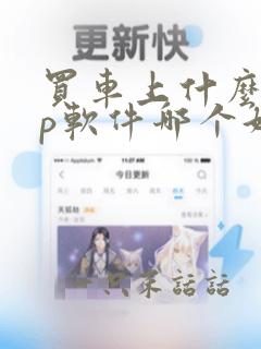 买车上什么app软件哪个好