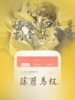 婚姻那些事电视剧全集免费观看完整版