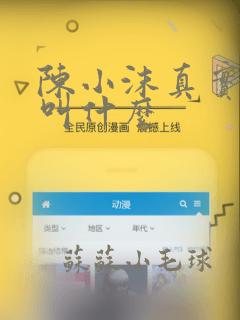 陈小沫真实名字叫什么