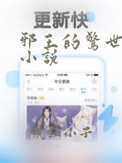 邪王的惊世宠妃小说