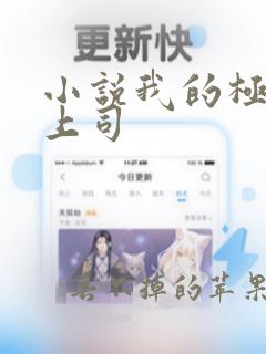 小说我的极品女上司