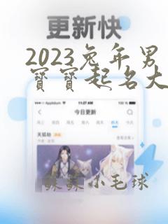 2023兔年男宝宝起名大全集